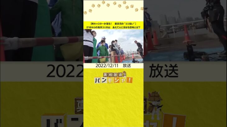 【桝キャスターが潜る！　東京湾の“ゴミ拾い”】218キロの海洋ゴミの山　あえて人に見せる意味とは？ #shorts