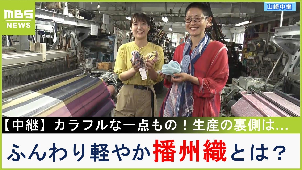 【中継】暑い季節にピッタリ！ふんわり軽やか『播州織』　「カラフルな一点もの」を生産する工場にはアルパカが！（2023年5月19日）