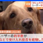 「ほじょ犬の日」当事者訴え　施設への受け入れ義務化20年も進まぬ理解｜TBS NEWS DIG