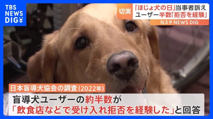 「ほじょ犬の日」当事者訴え　施設への受け入れ義務化20年も進まぬ理解｜TBS NEWS DIG