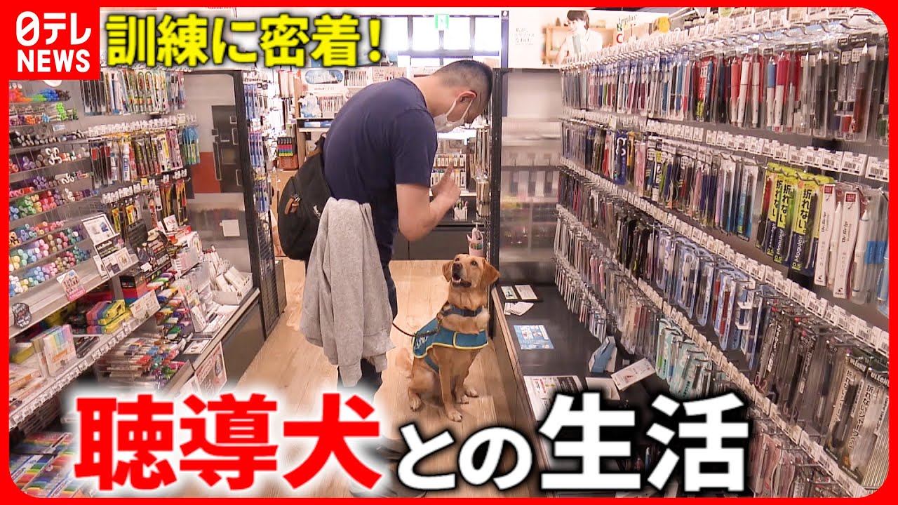 【密着取材】飼い主との絆… “聴導犬”の出会いと別れ　愛媛　NNNセレクション