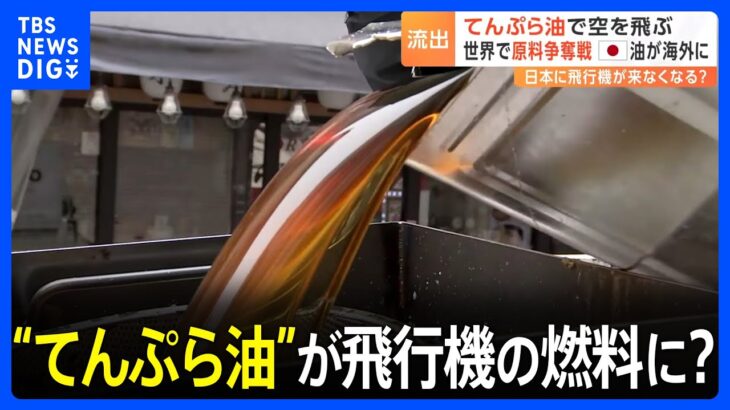 “てんぷら油”が飛行機の燃料に？ 世界で原料争奪戦 「日本に飛行機が来なくなるかもしれない」｜TBS NEWS DIG