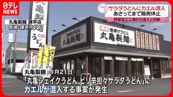 【丸亀製麺】“サラダうどん”にカエル  野菜加工工場から混入と判断