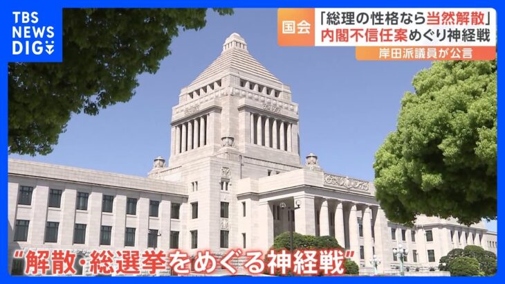 内閣不信任案なら「総理の性格なら当然解散」　自公は選挙区調整で神経戦｜TBS NEWS DIG