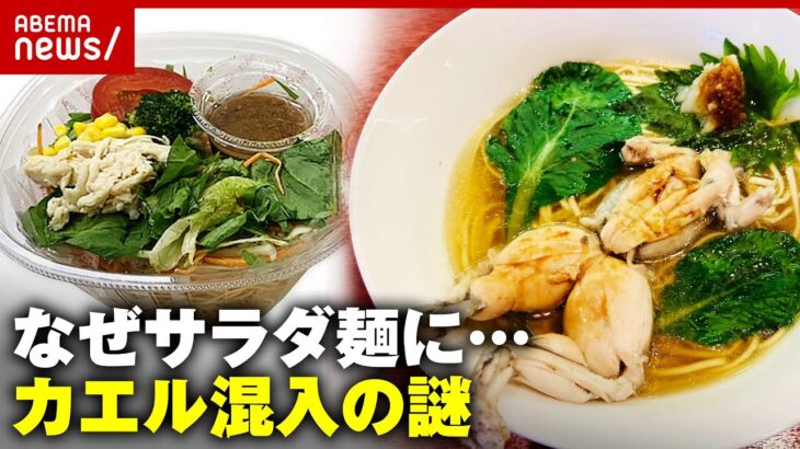 【カエル混入】「口に入れて気付いた」なぜサラダ麺に？専門家の見解とカエルの未来｜ABEMA的ニュースショー