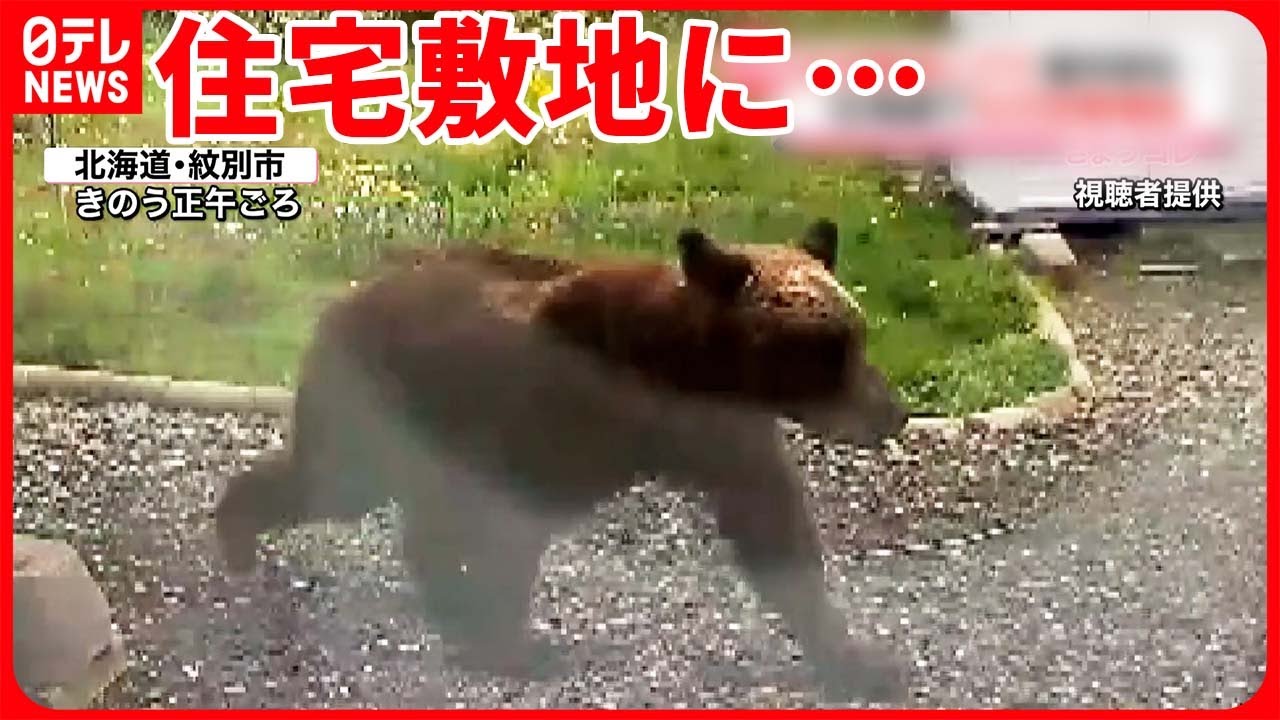 【クマ】住宅敷地にも…北海道で目撃情報相次ぐ 去年の1.3倍に