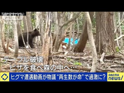 ヒグマ遭遇動画が物議に…“再生数が命”で過激化？(2023年5月23日)