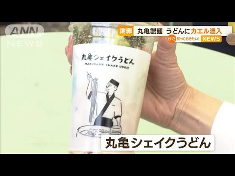 「丸亀シェイクうどん」にカエル混入　丸亀製麺が謝罪…3日間で20万食販売の新商品(2023年5月24日)