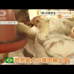 卵高騰の“救世主”ブラジルでも鳥インフル　世界への影響は…専門家「非常に大きい」(2023年5月24日)
