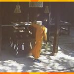 「神様はアラーしかいない」神社の賽銭箱など損壊でガンビア人の男を再逮捕　防カメに一部始終　神戸