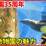 【動物園】ライオン＆キリンを直近に体感！とべ動物園の魅力と軌跡　愛媛　NNNセレクション