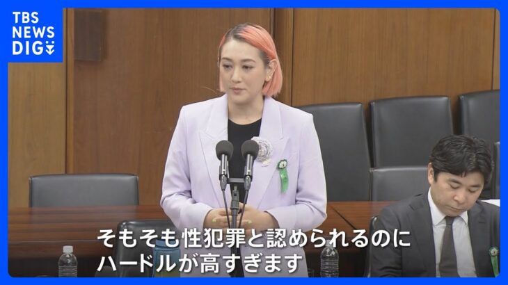 「いくつになっても公訴できる権利を」性犯罪の時効を5年延長へ　しかし被害者は「撤廃」求める　衆議院法務委員会ではタレントのシェリーさんも訴え｜TBS NEWS DIG