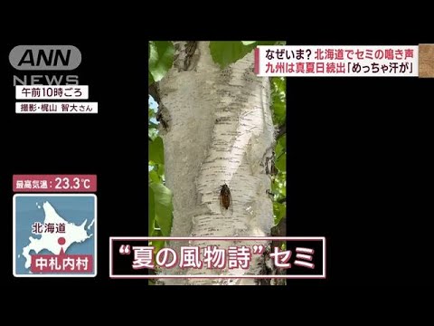 なぜいま？北海道でセミの鳴き声　「めっちゃ汗が」九州は真夏日続出(2023年5月27日)