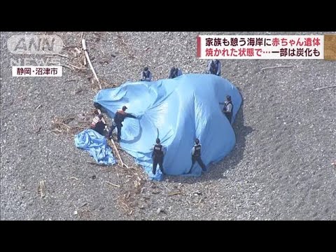 海岸に焼かれた赤ちゃんの遺体　一部は炭化も　静岡・沼津市(2023年5月28日)