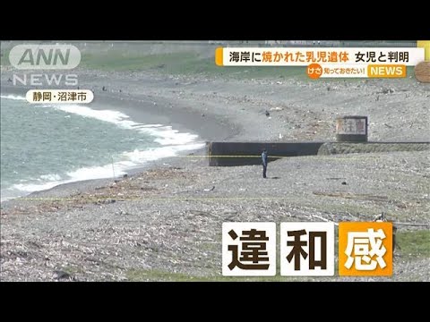 海岸に焼かれた乳児遺体　女児と判明　静岡・沼津市(2023年5月29日)