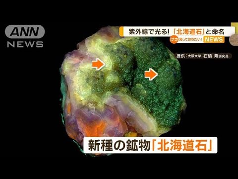 紫外線で光る！新種の鉱物　「北海道石」と命名　石油がどうできたか…読み解く鍵に？(2023年5月29日)