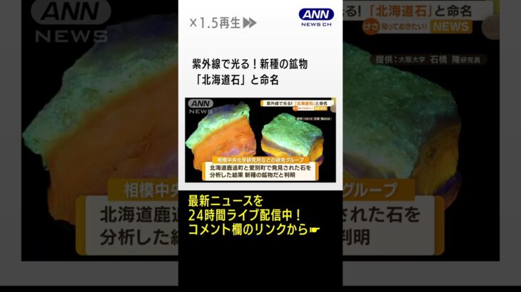 紫外線で光る！新種の鉱物　「北海道石」と命名　石油がどうできたか…読み解く鍵に？　#shorts