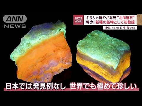 “北海道石”キラリと鮮やかな光　希少！新種の鉱物として初登録(2023年5月29日)