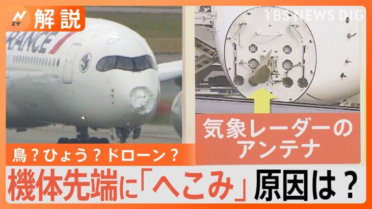 パリ行きの旅客機機体に大きな“へこみ” 一体何が？考えられる原因は「バードストライク」【Nスタ解説】