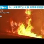 カナダ東部で山火事　ハリファックスに非常事態宣言(2023年5月29日)