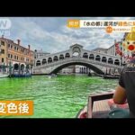 “ベネチアの運河”緑色に染まる…大量の藻？塗料？メディア「水漏れ調査の液体か」(2023年5月30日)