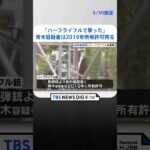 “命中精度”高い「ハーフライフルで撃った」と供述…青木政憲容疑者は2019年に所有許可得る　長野・立てこもり4人殺害事件  | TBS NEWS DIG #shorts