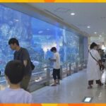 京都・宮津市の小さな水族館「丹後魚っ知館」３４年の歴史に幕　のべ６００万人以上が訪れる