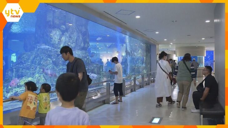 京都・宮津市の小さな水族館「丹後魚っ知館」３４年の歴史に幕　のべ６００万人以上が訪れる