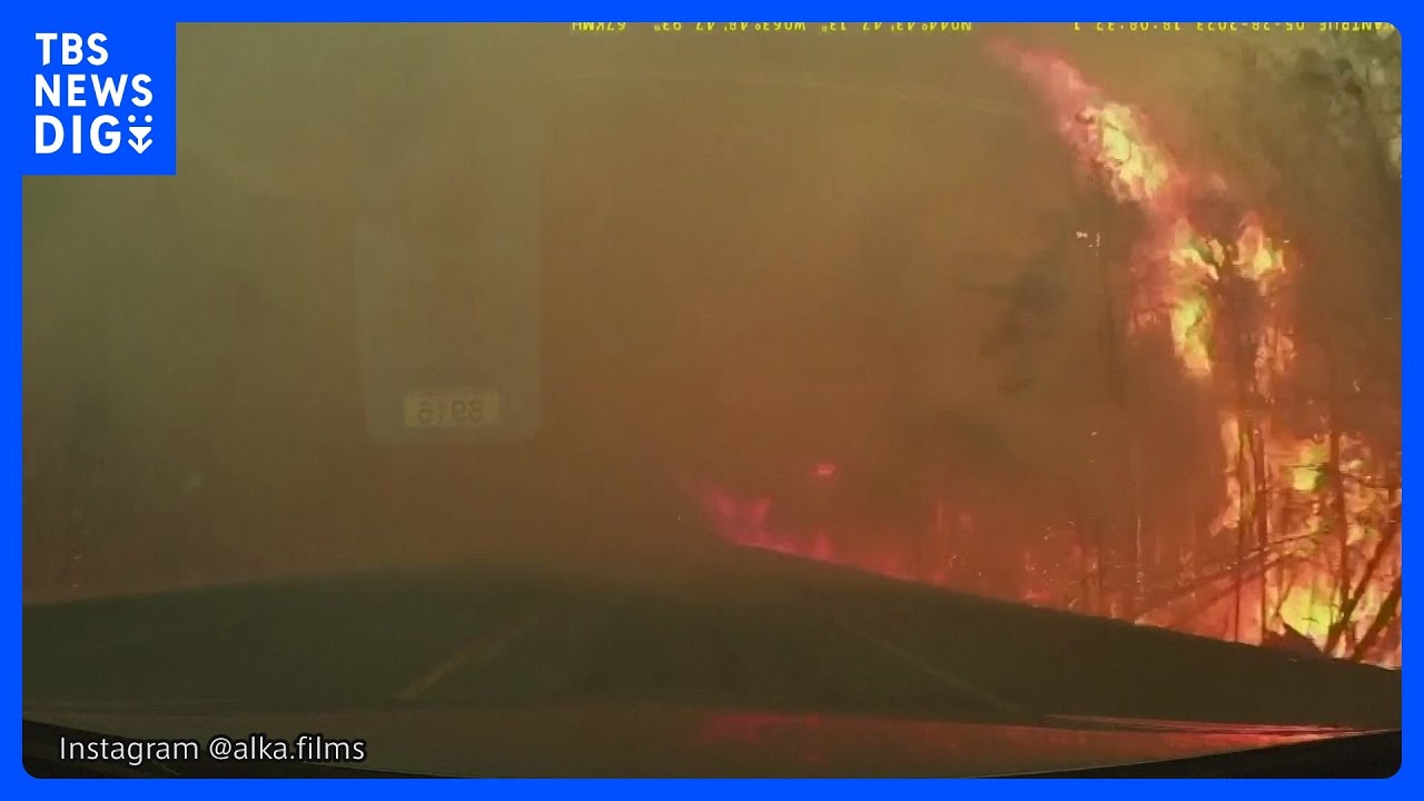 ドラレコに記録された山火事からの脱出の様子　強風と乾燥した木々が被害を拡大　カナダ東部｜TBS&nbsp;NEWS&nbsp;DIG