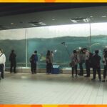 “スマスイ”が愛称の神戸市立須磨海浜水族園　３５年の歴史に幕　最後の営業日は朝からファンが列