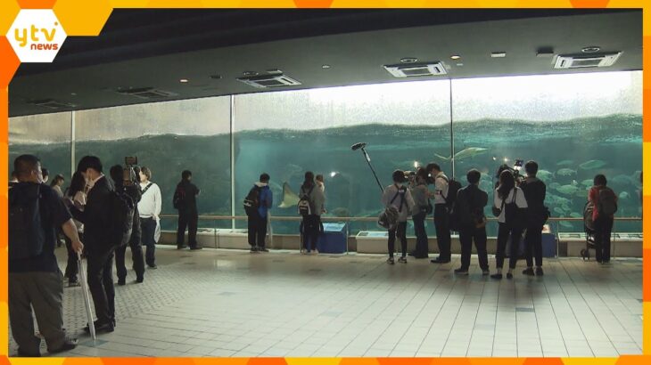 “スマスイ”が愛称の神戸市立須磨海浜水族園　３５年の歴史に幕　最後の営業日は朝からファンが列