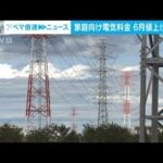 家庭向け電気料金6月値上げへ 消費者庁が容認(2023年5月15日)