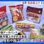 6月から値上げの食品3575品目　カップ麺や調味料など｜TBS NEWS DIG