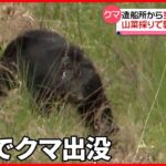 【クマ】70代女性が山菜採り中に襲われケガ…福島県で「ツキノワグマ特別注意報」