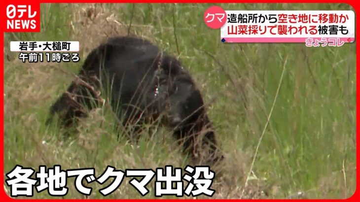 【クマ】70代女性が山菜採り中に襲われケガ…福島県で「ツキノワグマ特別注意報」
