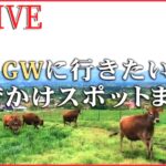 【おでかけライブ】まだ間に合う！GWおでかけスポット　客室に綾波レイ！エンタメ特化の最新複合施設を取材！/WBCの熱気続く「野球殿堂博物館」など（日テレNEWS LIVE）