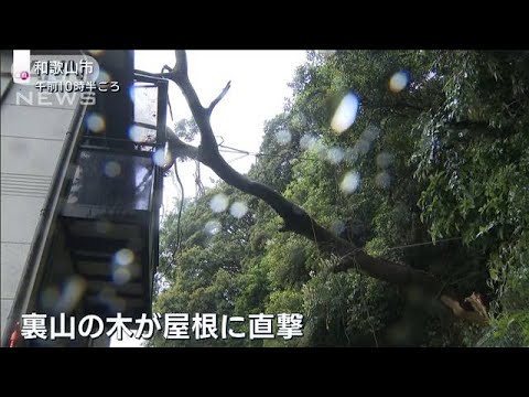 【GW最終日】雨の中で満喫する人々「雨でも美味しい」和歌山では倒木直撃で被害も(2023年5月8日)
