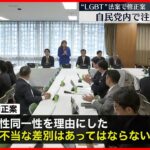 【“LGBT”法案】自民党内の調整が難航  会議で注文相次ぐ