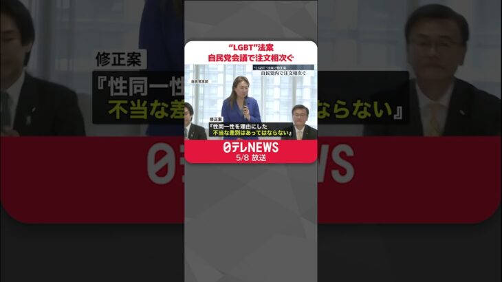 【“LGBT”法案】自民党内の調整が難航  会議で注文相次ぐ #shorts