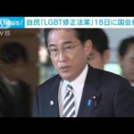 岸田総理と自民幹部が会談　LGBT法案あす提出へ　自公選挙区調整についても協議(2023年5月17日)