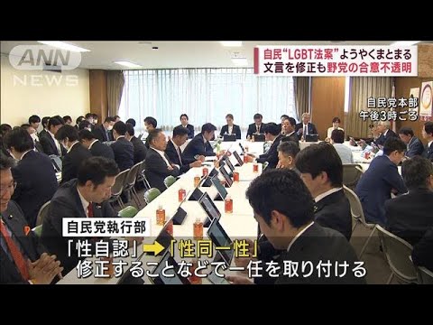 自民“LGBT法案”ようやくまとまる　文言を修正も野党の合意不透明(2023年5月12日)