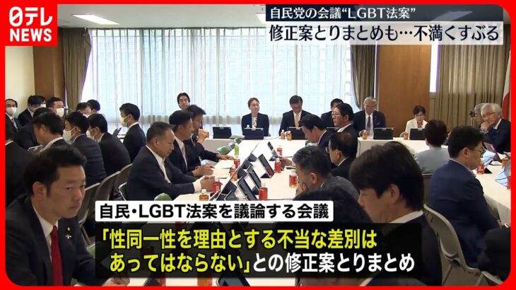 【“LGBT法案”】「不当な差別はあってはならない」  自民党修正案とりまとめ