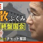 【国会LIVE/チャット解説】衆議院予算委員会　岸田文雄総理と立憲民主党・泉健太代表らが論戦【ライブ】(2023/5/24) ANN/テレ朝