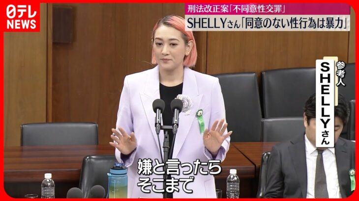 【SHELLYさん】「同意のない性行為は暴力」  刑法改正案審議の衆院法務委に参考人として出席