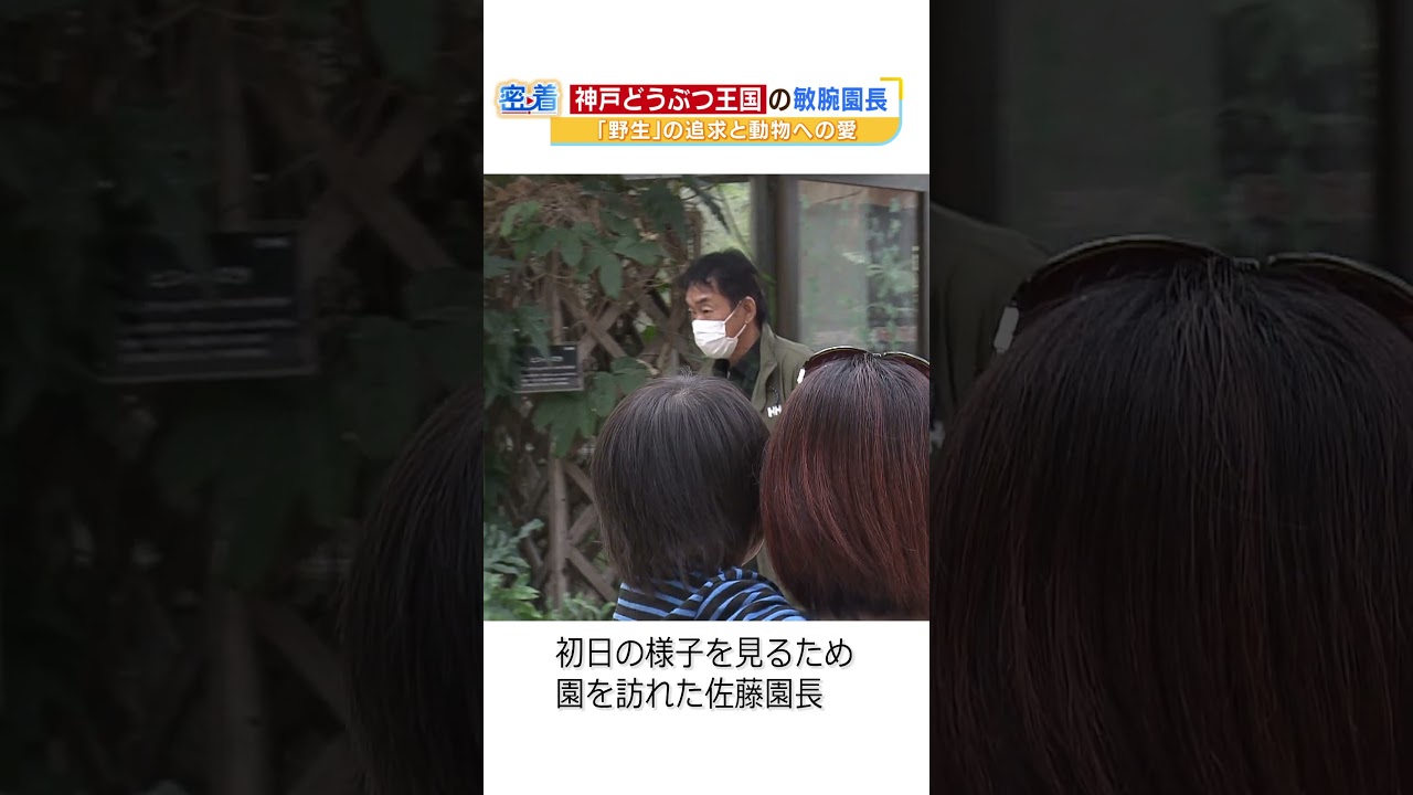 #shorts #神戸どうぶつ王国