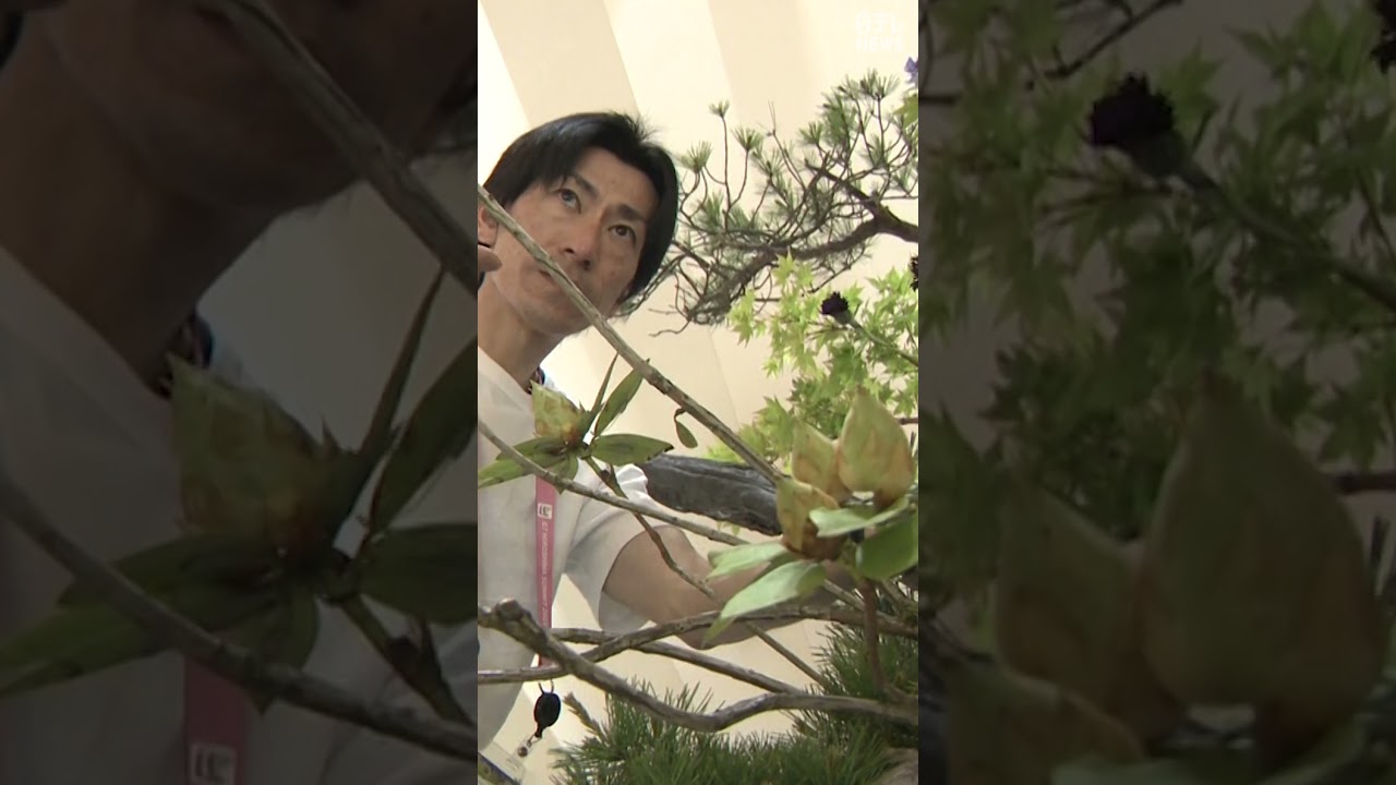 岸田首相に後光？#Shorts