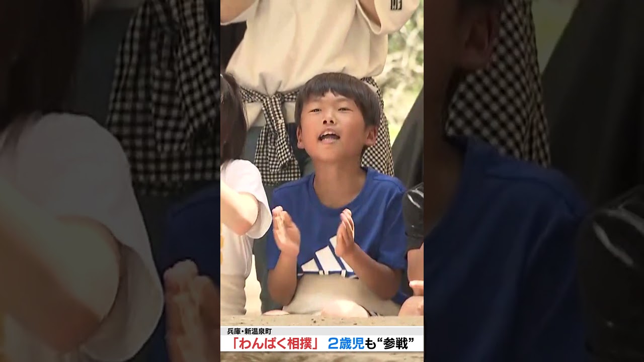 #shorts #わんぱく相撲