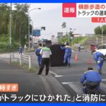横断歩道を渡っていた10代20代の男女がトラックにはねられる千葉成田市TBSNEWSDIG