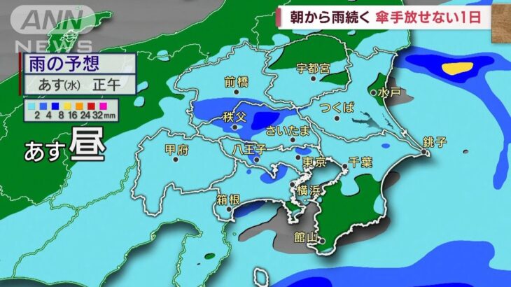 【関東の天気】朝から雨続く　傘手放せない1日(2023年6月13日)