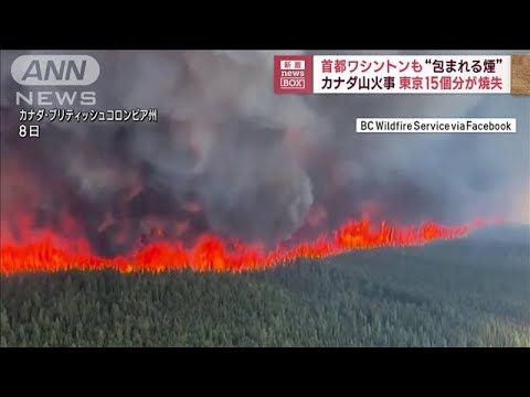 カナダ山火事で東京15個分焼失　米首都ワシントンも“包まれる煙”(2023年6月9日)